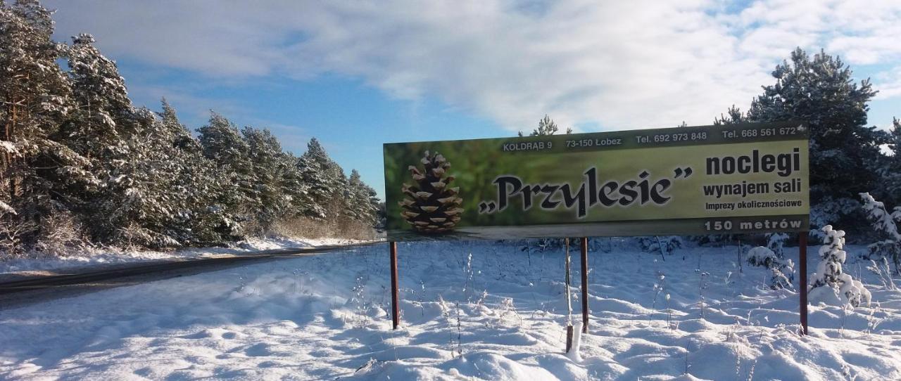 Pokoje Goscinne Przylesie Lobez Экстерьер фото